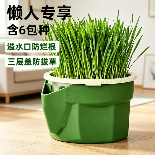 三层防拔草溢水口防烂根懒人猫草