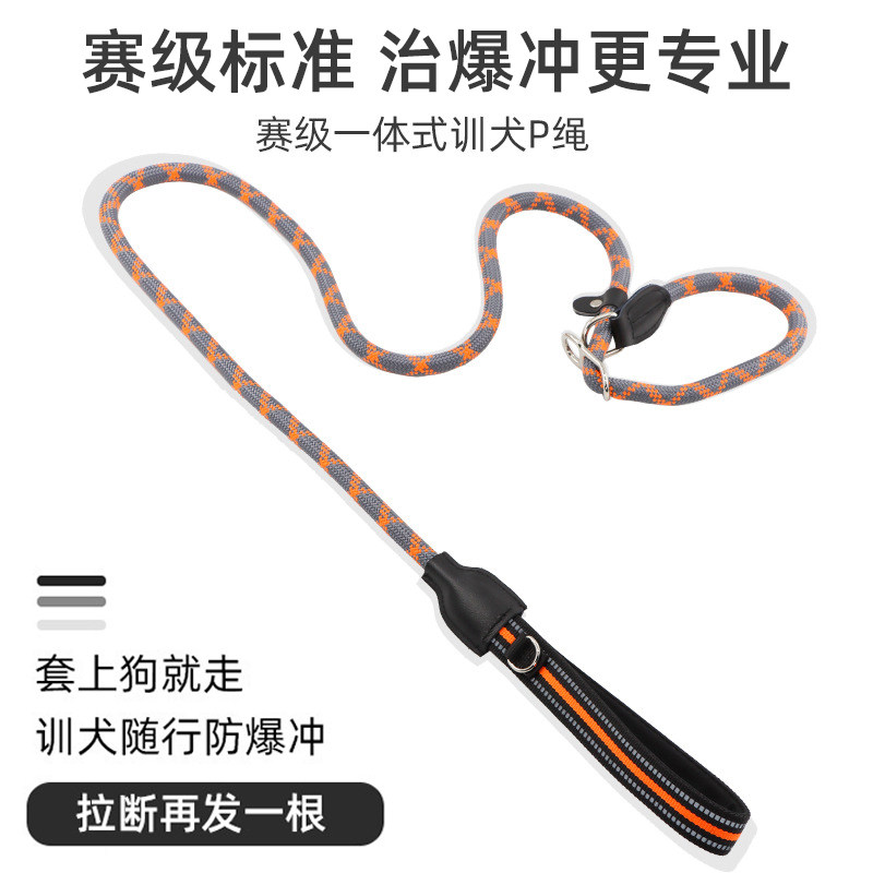 宠物赛级专业训犬防爆牵狗绳P链图片