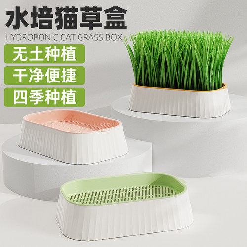 猫草盆栽水培盆水培盒猫草种子懒人水培猫草狗吃的草猫咪化毛草杯