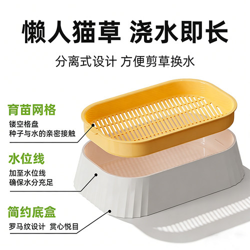 懒人自种浇水即长猫草盆栽