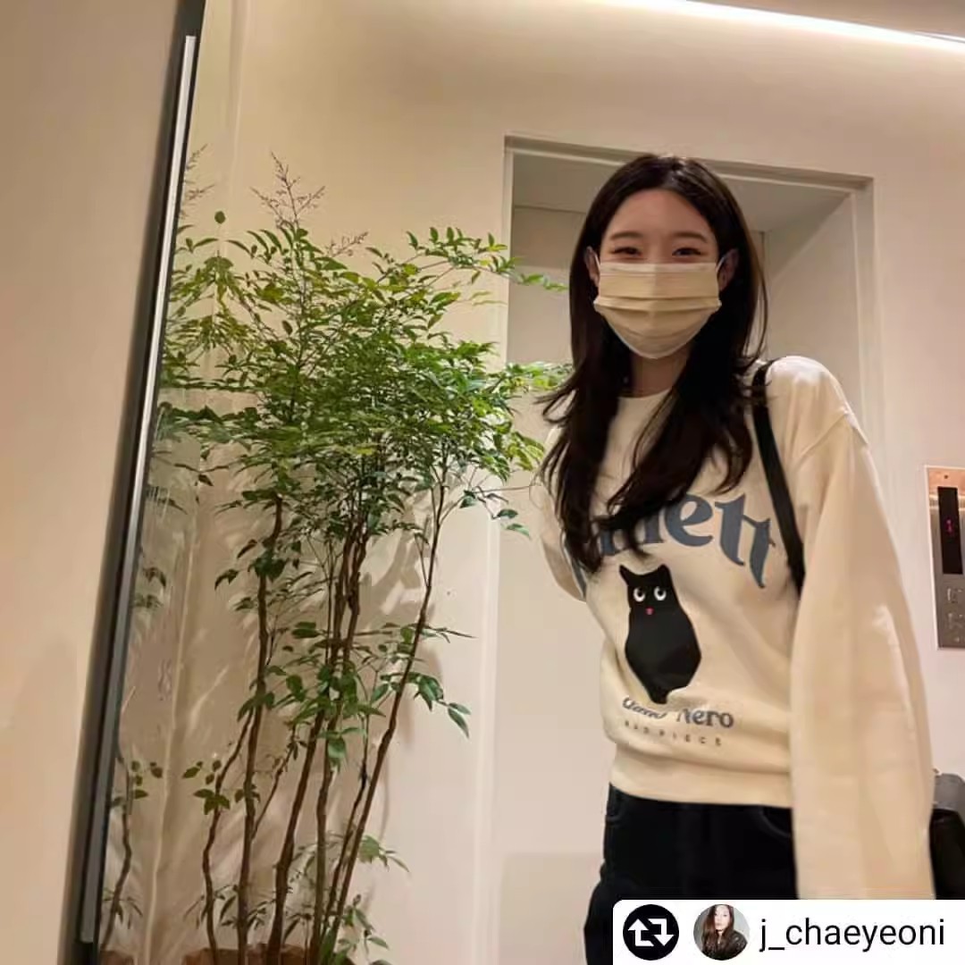 现货韩国潮牌郑采妍同款FALLETT小猫咪圆领韩版宽松卫衣女上衣ins
