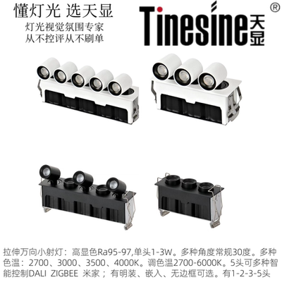 设计师款万向拉伸小射灯准确色温