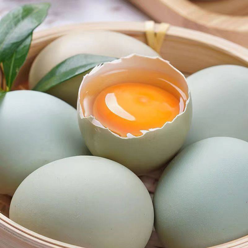 山东绿壳蛋鸡蛋产地直发绿壳鸡蛋整件包邮鸡蛋,水产肉类/新鲜蔬果/熟食,鸡蛋,淘宝优惠券,粉丝福利购,淘宝优惠卷