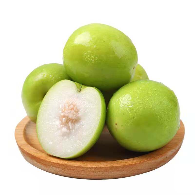 福建贵妃牛奶枣 产地直发 大青枣 当季新鲜水果脆甜包邮 适合孕妇