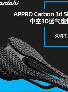 RPANTAHI潘塔尼3D打印坐垫公路山地自行车骑行碳纤维短鼻座垫SL6