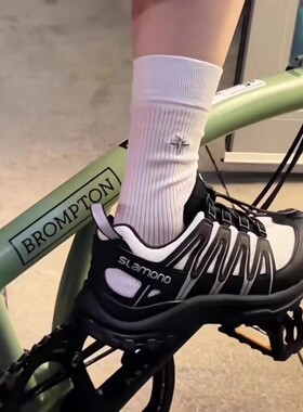 欧洲站刺绣蜜蜂轻薄25夏季新款网面透气休闲潮小腿堆堆袜无骨潮袜