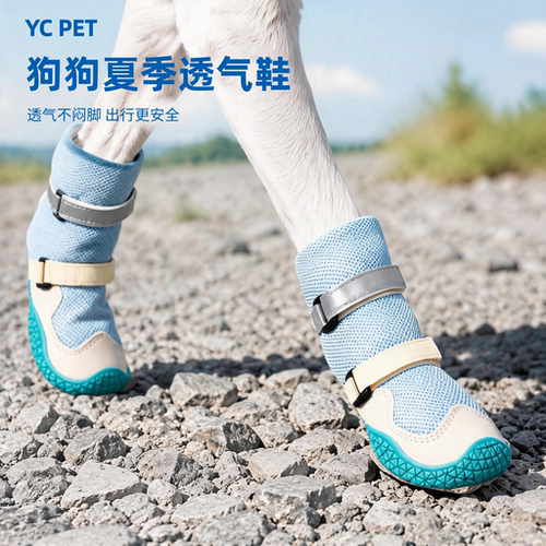 YCPET狗狗鞋夏季网面透气外出鞋