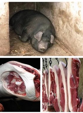 新鲜黑猪肉土猪肉山上散养跑山猪后座猪腿五花肉大山里面的