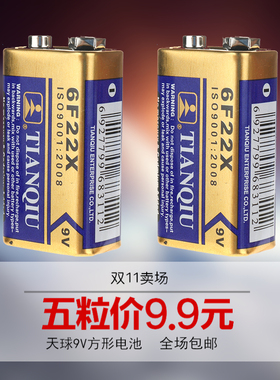 5粒9V万用表电池 九伏方形扁电池 6F22X遥控汽车1604A报警器6LR61