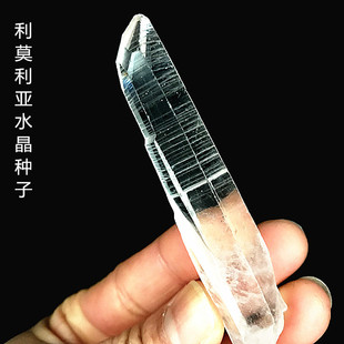 【特惠】列姆利亚种子水晶- 利穆利亚列穆利亚Lemuria 天然原石