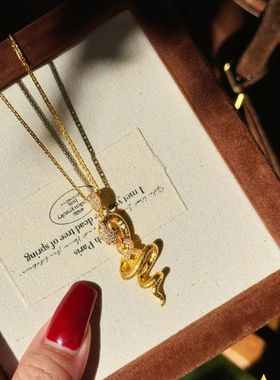 中古风vintage美杜莎灵蛇铜钱吊坠新中式国风腰才万贯镶钻蛇项链