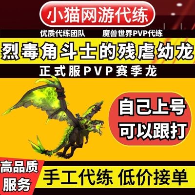 wow魔兽世界代练手工竞技场2400PVP赛季龙烈毒角斗士的残虐幼龙