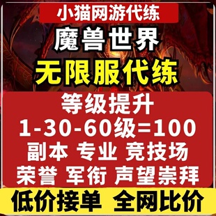 wow魔兽世界代练无限怀旧服1-30-60级练级升等级代打团本睡袋声望