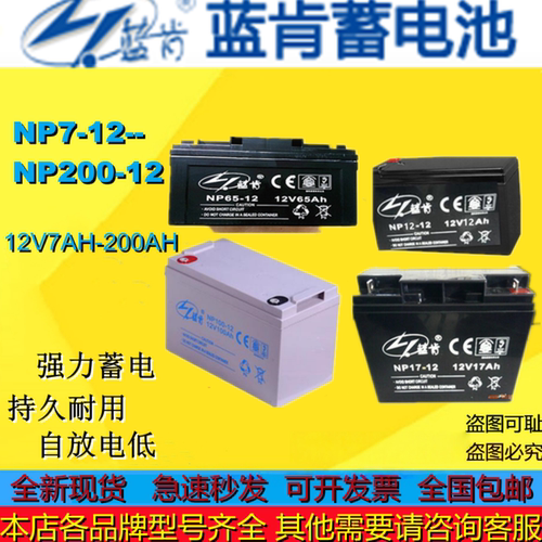 蓝肯蓄电池NP100-12 NP200-12 NP38-12 NP65-12 NP24-12 NP120-12
