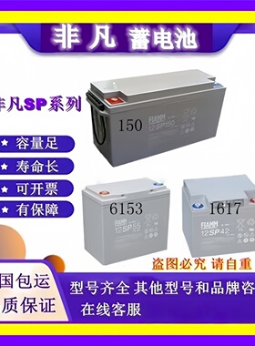 FIAMM非凡蓄电池12SP72 12SSP18 12SP26 12SP100 12SP120全新电池