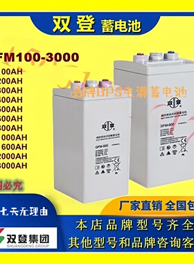 双登蓄电池2VGFM-200 GFM-100 GFM-300 GFM-400 GFM-500 GFM-600