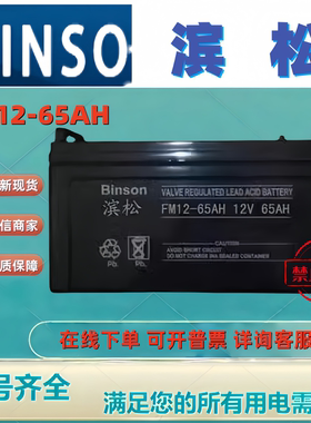 BINSON滨松蓄电池FM12-65AH 12V65AH免维护机房UPS消防主机电梯