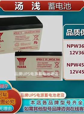 YUASA汤浅蓄电池NPW36-12/12V36W NPW45-12Cell10min电梯消防正品