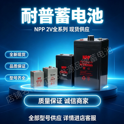原装NPP 耐普蓄电池NP2-100NP2-150NP2-200NP2-300NP2-400NP2-500