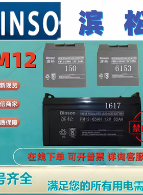 BINSON滨松蓄电池BS/FM12-100 FM12-65 FM12-38 FM12-120 FM12-24