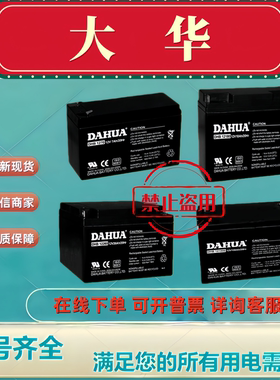 DAHUA大华蓄电池DHB1270DHB1290DHB12120DHB12170DHB12240DHB1238
