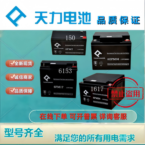 TOOPOWER天力蓄电池6GFM100 6FM7 6FM38 6FM17 6FM24 6GFM65全新