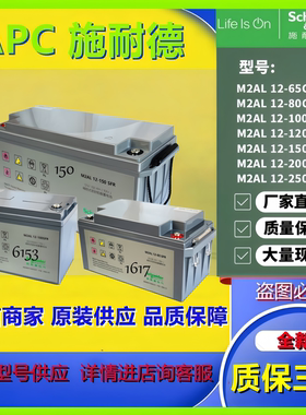 APC施耐德蓄电池M2AL12-65SFR  12V65AH全新原装正品电池机房用