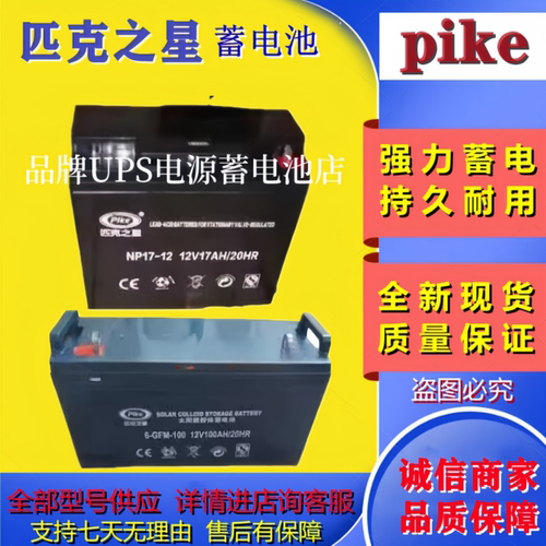 pike匹克之星全新蓄电池6GFM-100B6-GFM-65NP17-12NP24-12NP38-12