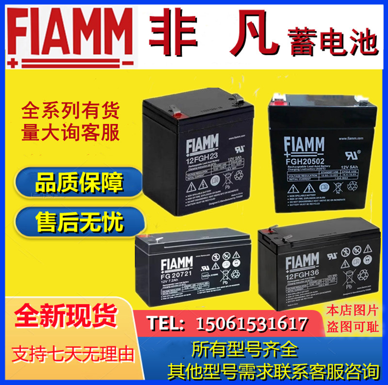 FIAMM非凡蓄电池12FGH36 FGH20502 FG20721 12FGH23 12SSP10 12V