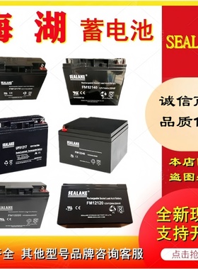 SEALAKE海湖蓄电池FM12220FM1270FM12380FM121000FM12170FM12650