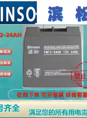 BINSON滨松蓄电池FM12V24AH 12V24AH免维护机房UPS消防主机电梯