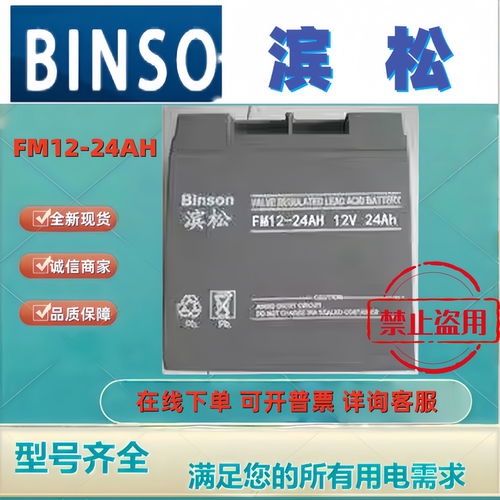 BINSON滨松蓄电池FM12V24AH 12V24AH免维护机房UPS消防主机电梯
