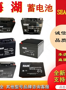 海湖SEALAKE蓄电池FM12220FM1270FM12330FM12120FM12170FM12650