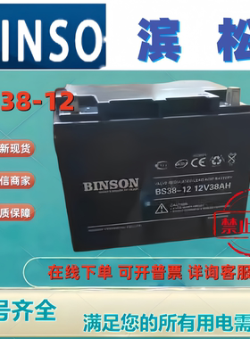 BINSON滨松蓄电池BS12V38 12V38AH免维护机房UPS消防主机电梯应急