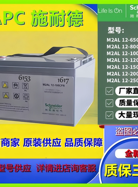 APC施耐德蓄电池M2AL12-100CFR  12V100AH全新原装正品电池机房用