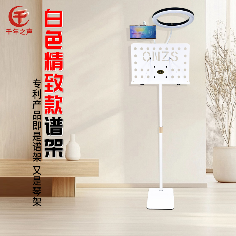 白色谱架带灯落地靠墙省空间谱架