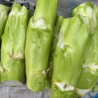 5斤包邮新鲜现砍菜头