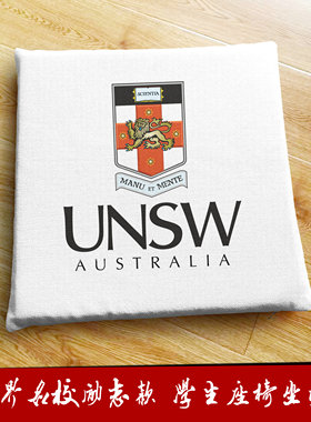 新南威尔士大学UNSW周边学生电脑椅课桌椅垫子屁垫海绵软坐垫座垫