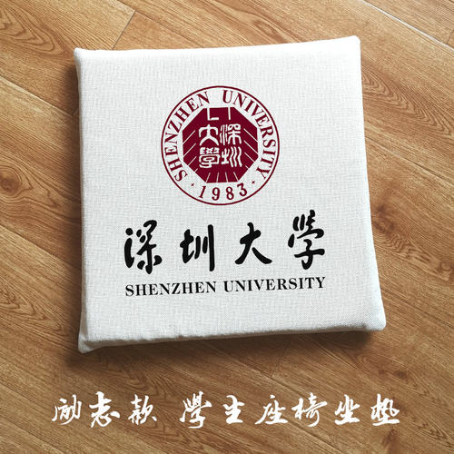 深圳大学周边学生励志坐垫电脑椅垫教室凳子椅子垫子地板软垫