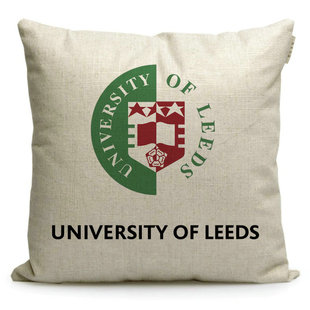 Leeds纪念品利兹大学靠枕定制英国名校周边棉麻枕头沙发抱枕