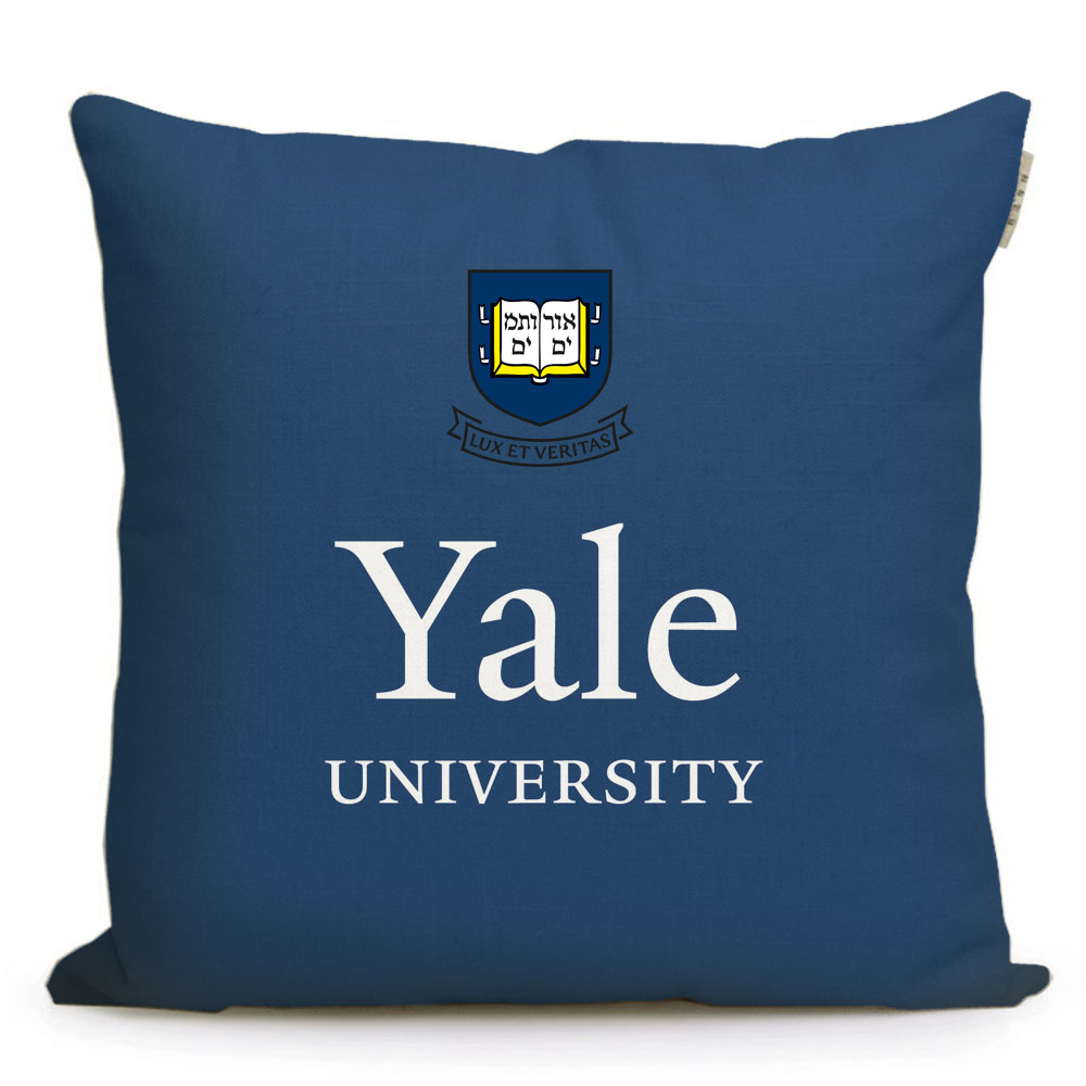 美国名校周边 耶鲁大学Yale University纪念品定制沙发靠垫抱枕