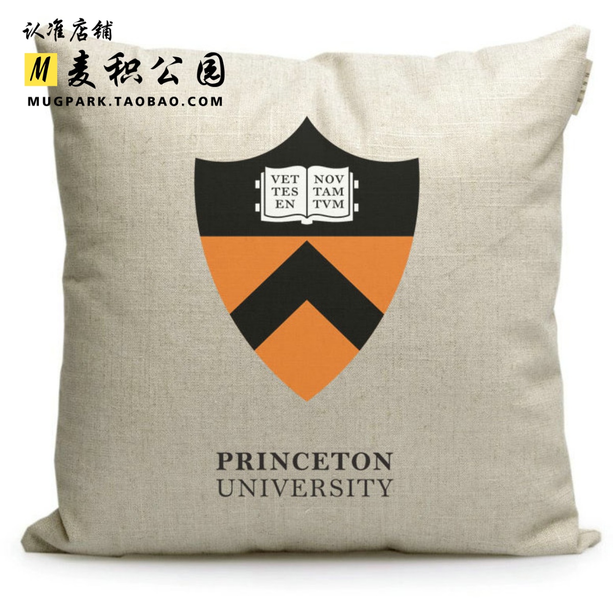 普林斯顿大学纪念品美国抱枕