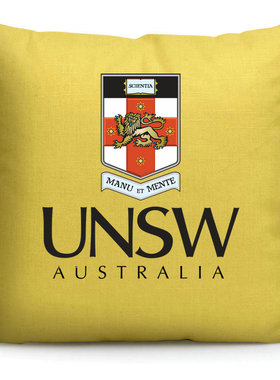 新南威尔士大学纪念品抱枕澳大利亚UNSW留学周边礼品布艺靠垫