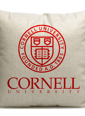 康奈尔大学美国Cornell University周边纪念品定制校徽礼品抱枕