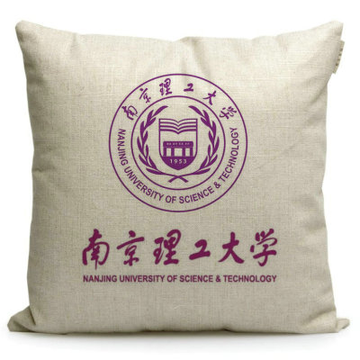南京理工大学纪念品周边定制礼品学生午休枕头座椅靠垫沙发抱枕