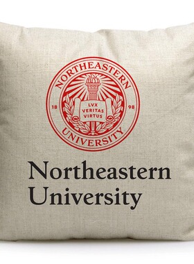 美国东北大学纪念品Northeastern University周边沙发靠枕抱枕