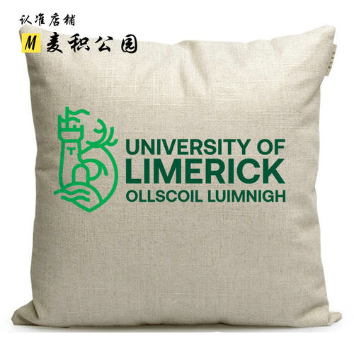 利莫瑞克大学纪念品定制沙发靠枕学生靠垫抱枕Limerick英国周边