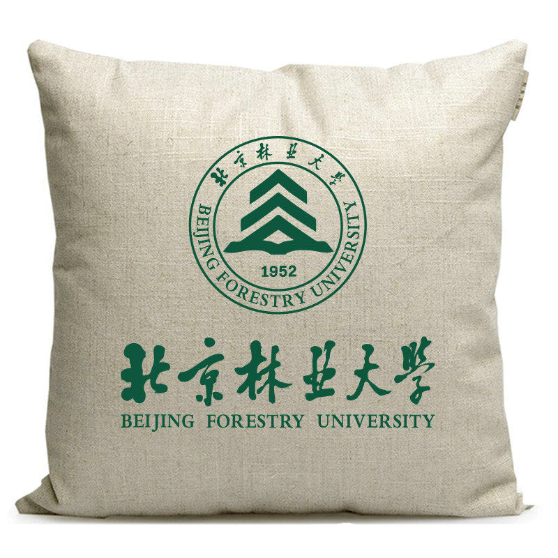 北京林业大学纪念品周边定制礼品学生午休枕头座椅靠垫沙发抱枕