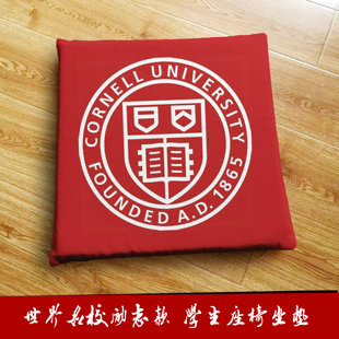 康奈尔大学Cornell University周边定制纪念品学生座椅垫柔软坐垫
