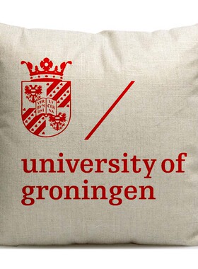 荷兰格罗宁根大学周边纪念品Groningen University沙发靠垫抱枕